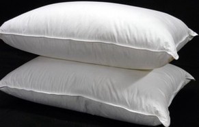Hungarian Goose Down Pillows Goose Down Pillows Down Pillows