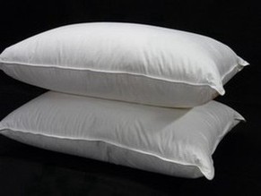 Polish 800 Goose Down Pillows Danish Eiderdowns Feather Factory